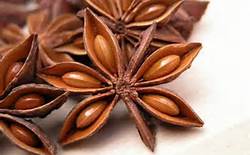 آنیسون (بسته بندی 100 گرمی)